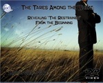 The Tares Among the Wheat (DVD)